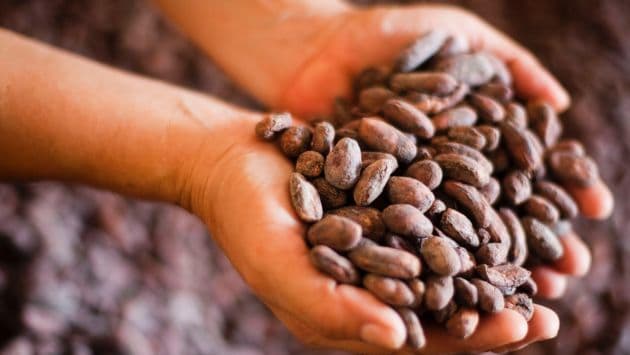 Organic Peruvian Cacao Beans